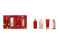 SETABLU Set cadou de Crăciun, 4 piese, 3809