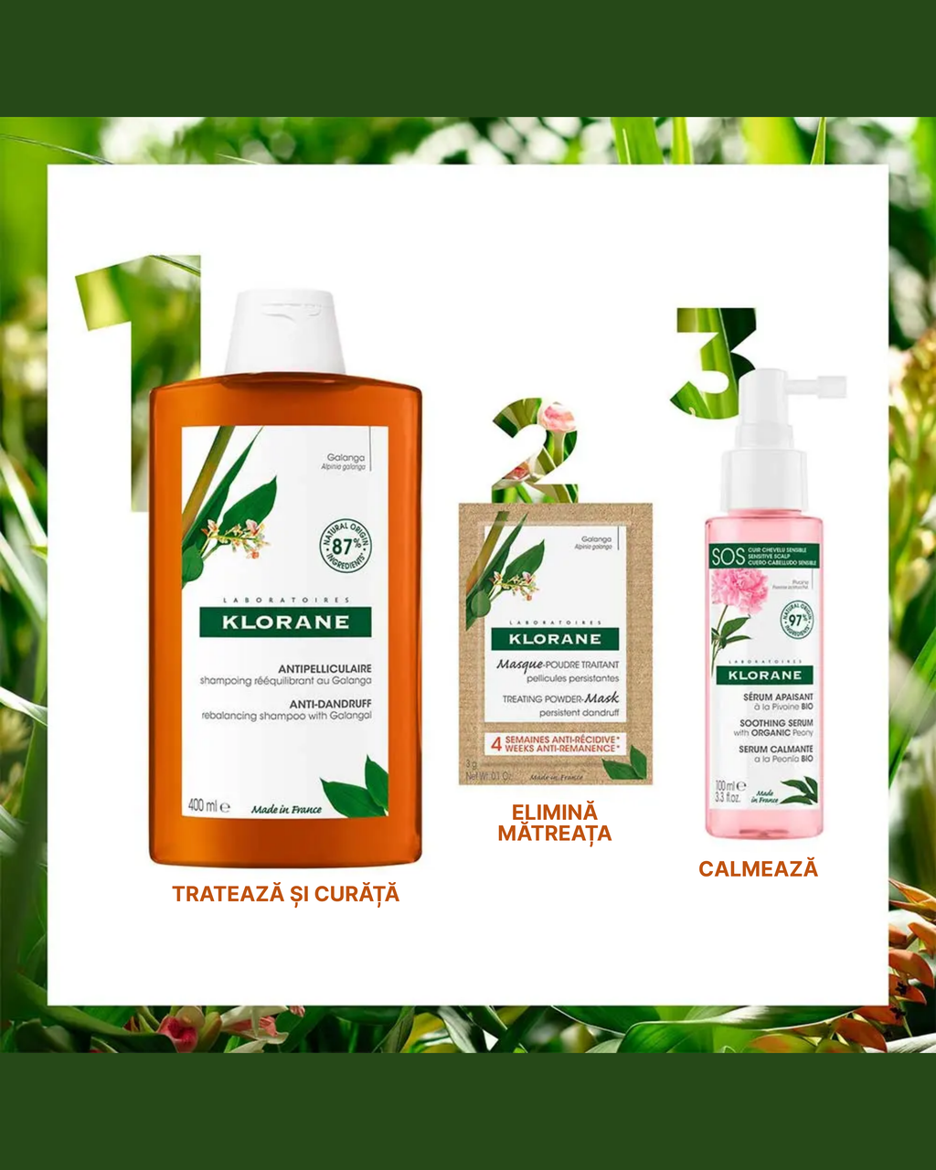 Klorane Galanga Shampoo – Șampon reechilibrant anti-mătreață cu galanga, 400 ml